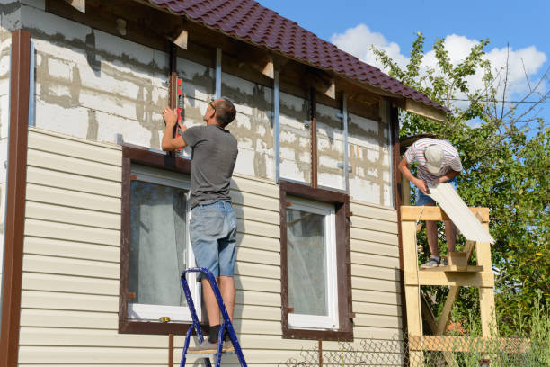 Best Stone Veneer Siding  in Marana, AZ